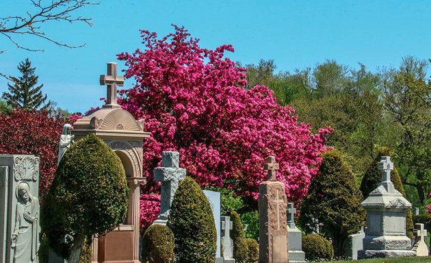 Photo of Mount Hope Catholic Cemetery