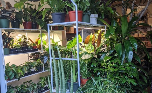 Photo of Plants and Friends