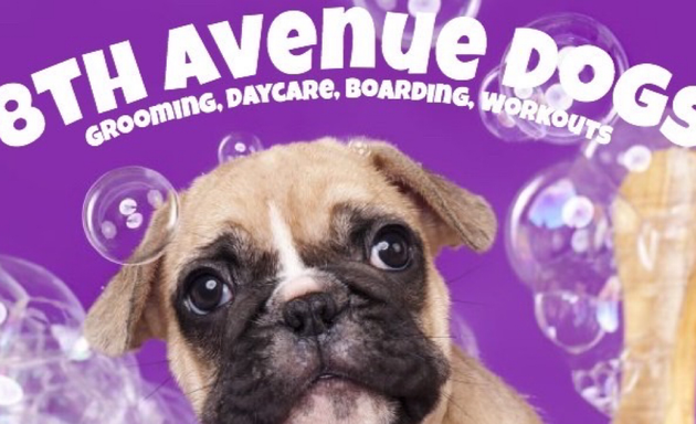 Photo of 8th Avenue Dogs