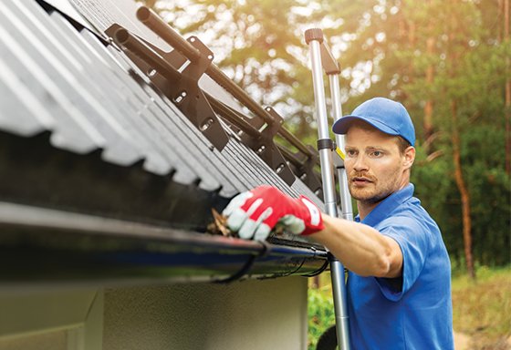 Photo of Shine Above Window and Gutter Cleaning