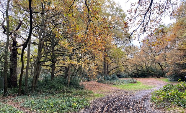 Photo of Epping Forest