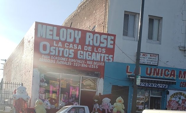 Photo of Melody Rose La Casa De Los Ositos Gigantes