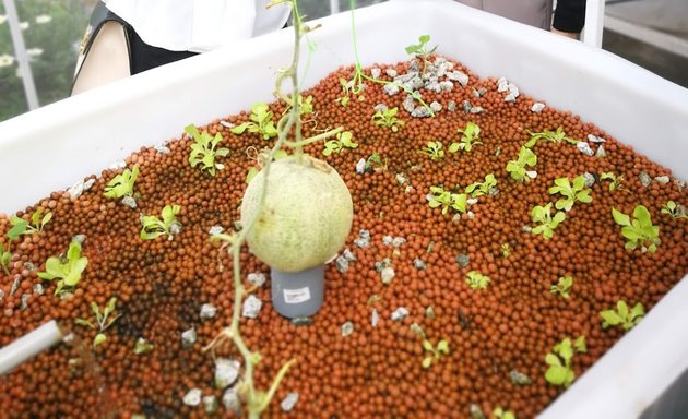 Photo of Aquaponics Science Park Sdn Bhd