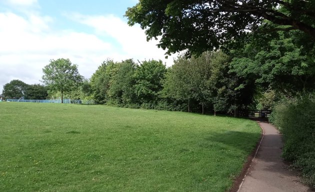 Photo of Mynachdy Park