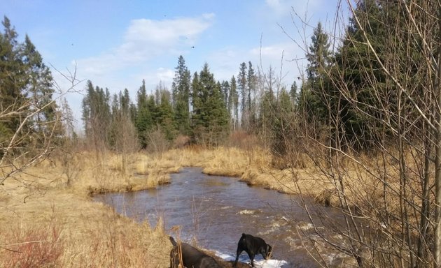 Photo of Mountain Dog Foods Inc