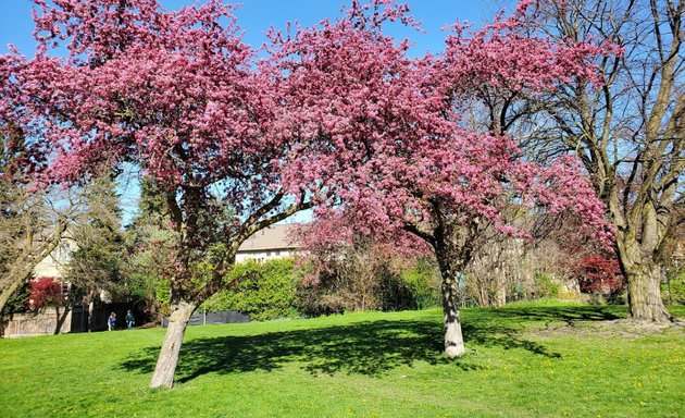 Photo of Princess Margaret Park