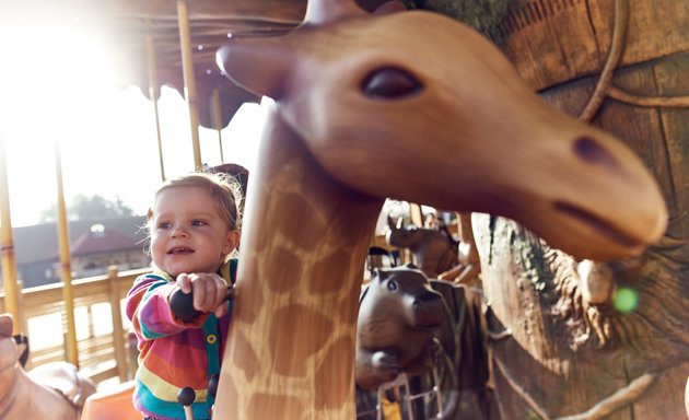 Photo of The Chessington Adventure Tree Carousel