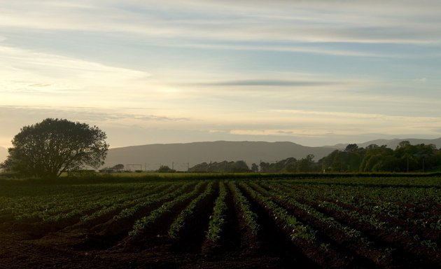 Photo of Rubin Brothers Produce Corporation