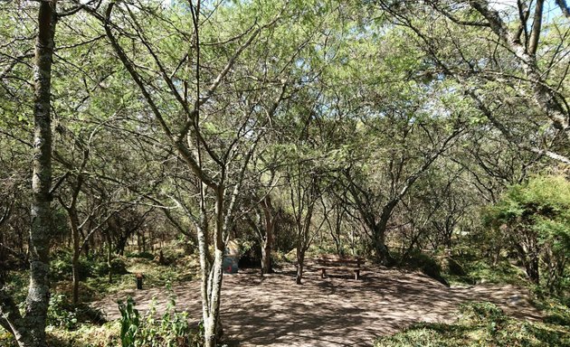 Foto de Parque Los Algarrobos