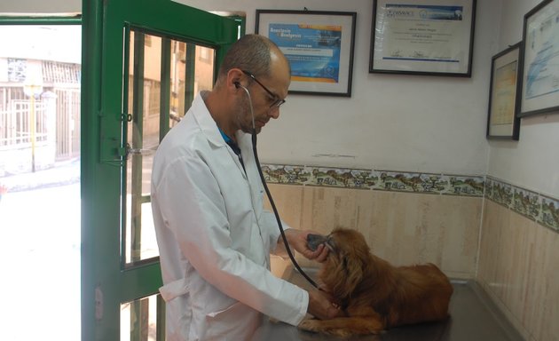 Foto de CENTRO VETERINARIO FATIMA - Consultas - Cirugías Veterinarias - Accesorios para su Mascota