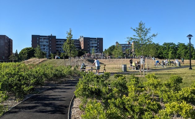 Photo of Lew Fidler Park