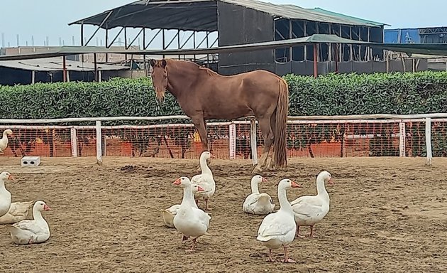 Foto de Equinopasion Peruana