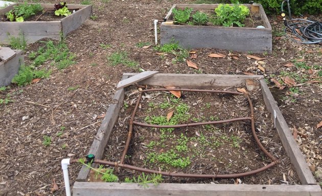 Photo of East Side Community Garden