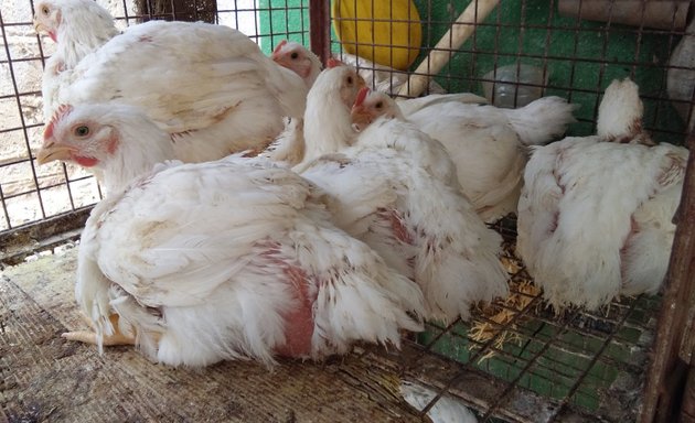 Photo of Byraveshwara chicken shop