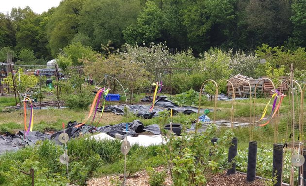 Photo of Spring Road/Woodville Road allotments