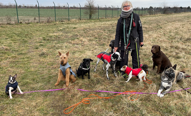 Foto von Hundeausführservice und Hundebetreuung PETRA SCHEER