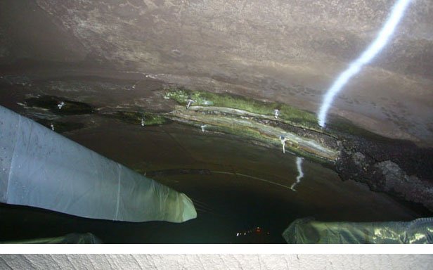 Photo of Apple Restoration & Waterproofing