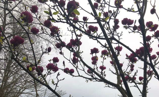 Photo of Streissguth Gardens