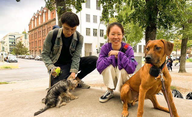 Foto von HundGut.Treffpunkt Moabit Kleiner Tiergarten