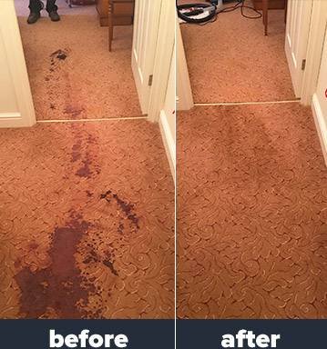 Photo of Edwards Jeffery Carpet Cleaning