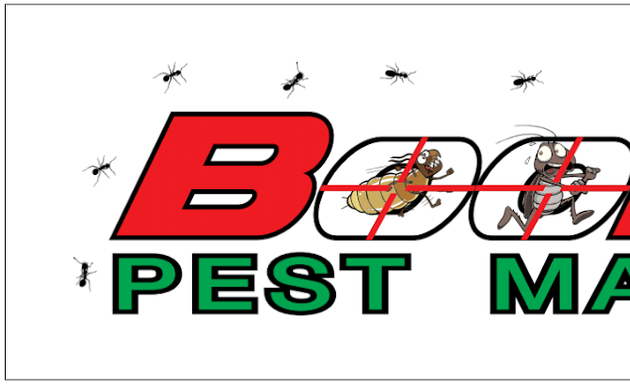 Photo of Boondall Pest Management - Brisbane Pest Control & Building Inspections