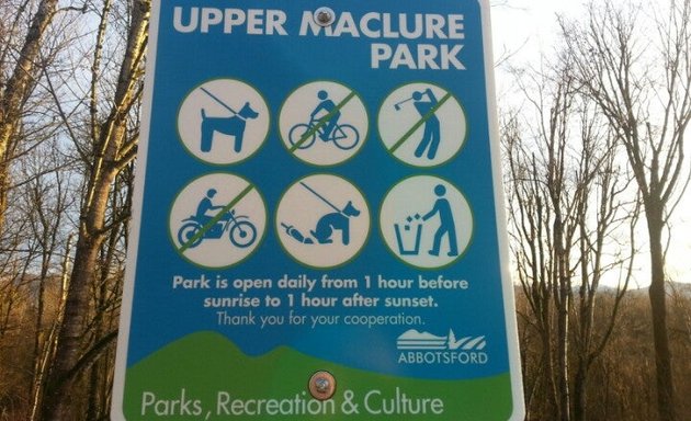 Photo of Maclure park