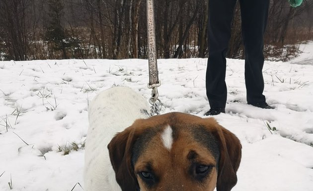 Photo of Ontario SPCA Barrie Animal Centre