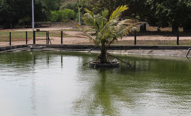 Photo of Asomdwe Park