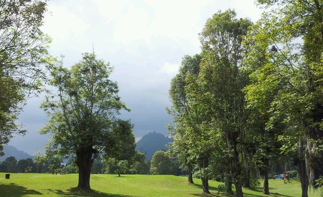 Foto de Parque Bicentenario (bosque popular el prado)