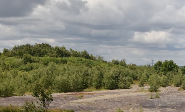 Photo of RSPB Fairburn Ings