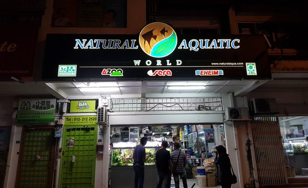 Photo of Natural Aquatic World