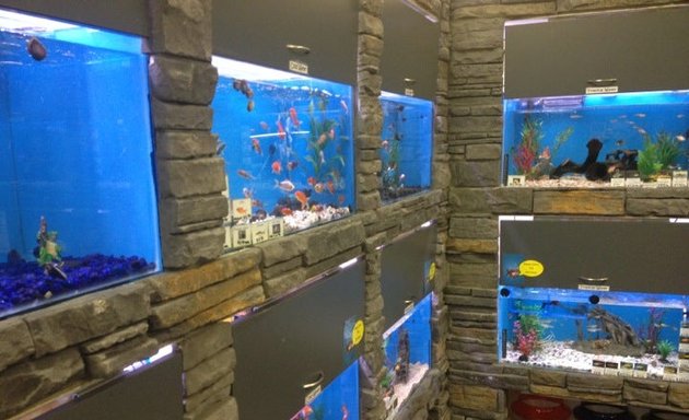 Photo of Pet Central Shirley