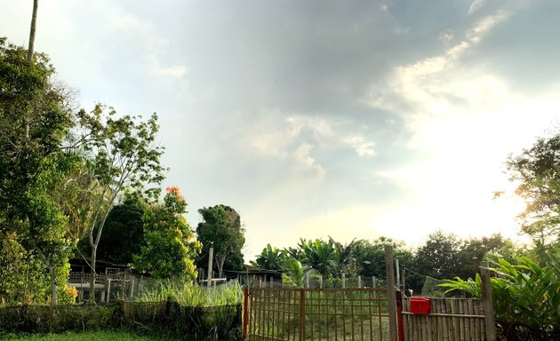 Photo of Kebun Tok Ujang