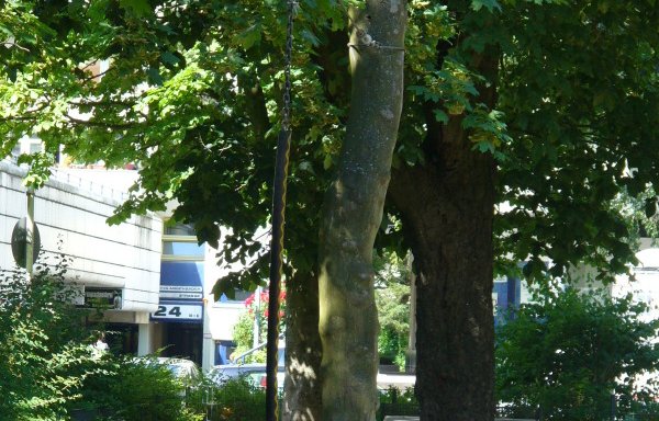 Foto von Spielplatz Eberbacher Straße