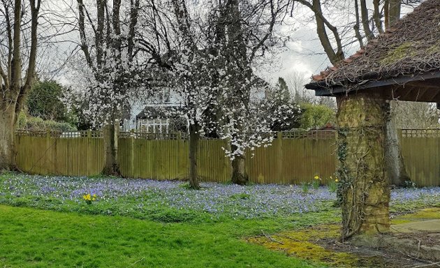 Photo of Chaldon Way Gardens