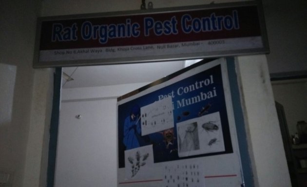 Photo of Rat Organic Pest Control