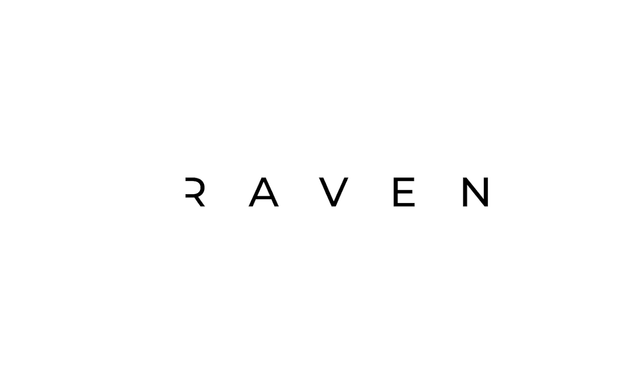 Photo of RAVEN (We Are Raven Ltd)