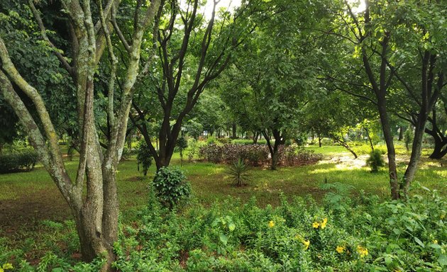 Photo of Kadamba Park