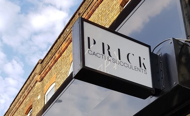 Photo of Prick - Cactus shop