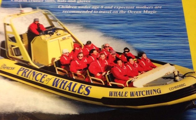 Photo of Prince of Whales - Whale Watching Adventures