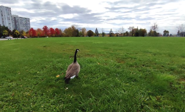 Photo of Goldhawk Park