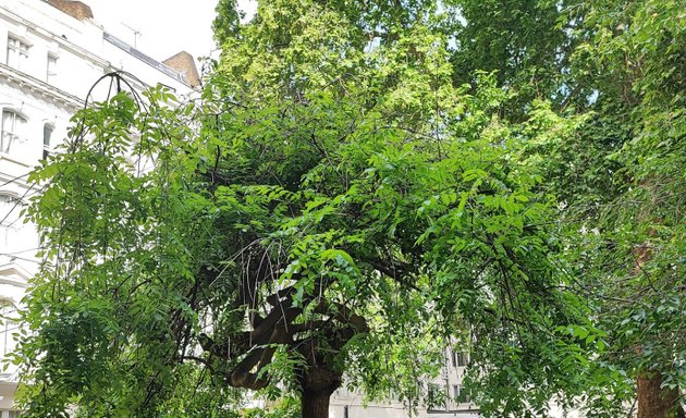 Photo of Talbot Square Gardens