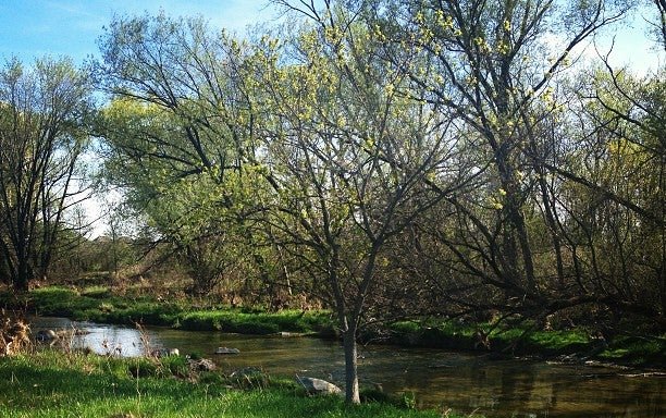 Photo of Indian Line Park