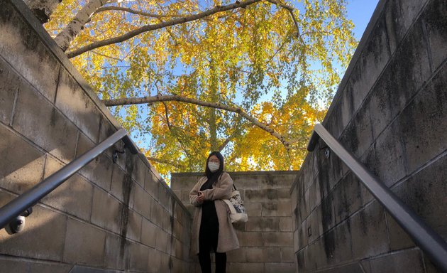 Photo of The Noguchi Museum