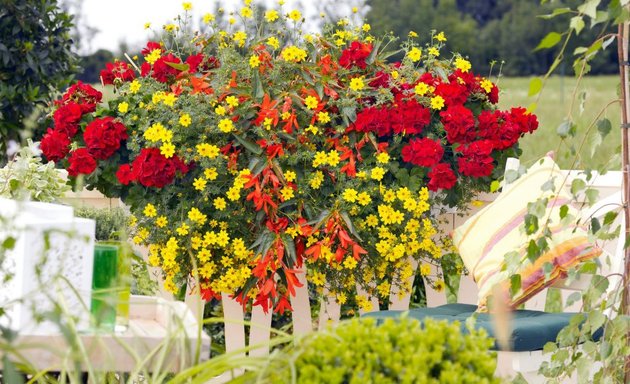 Foto von Gärtnerei Blumen Friedl