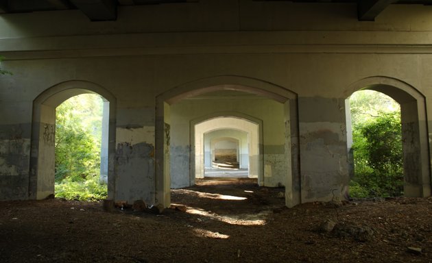 Photo of Blythwood Ravine Park