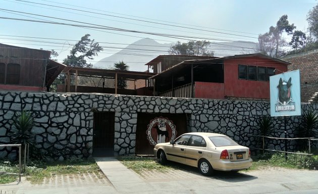 Foto de Kennel Perro sin pelo del Peru