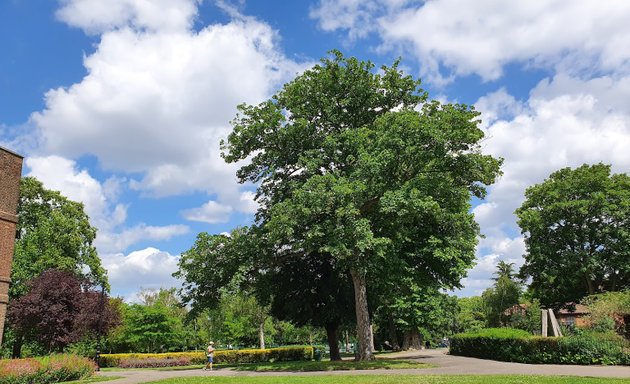 Photo of Bruce Grove Play park