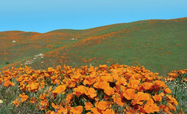 Photo of San Francisco Bay Physicians for Social Responsibility (SF Bay PSR)