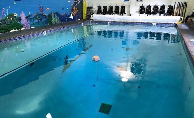 Photo of The Dive Shop | Scuba Dive Center and Swim School